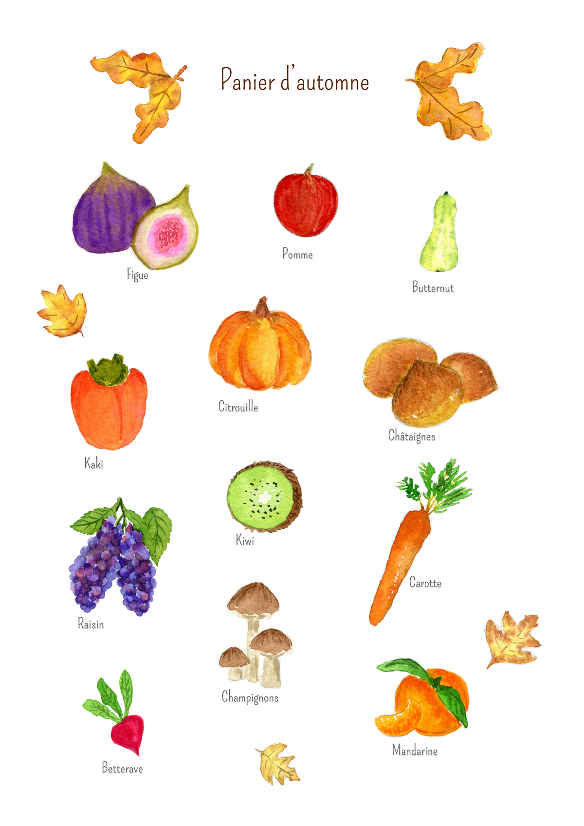 Affiche Fruits et Légumes d’Automne A4 | Illustration Aquarelle Peinte à la Main | Décoration Cuisine Vintage | Panier d’Automne